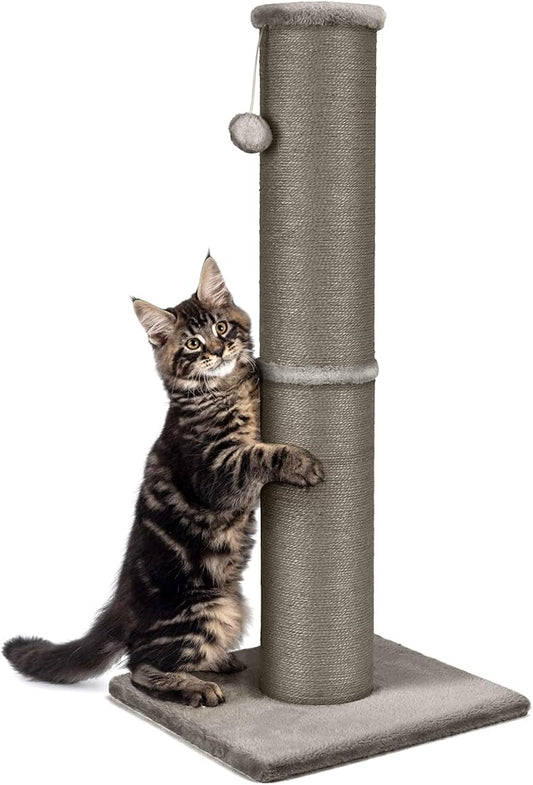 PAWSCRAT Cat Scratching Post 32 Inch High, 5.5 Inch Large Diameter Natural Sisal Cat Scratch Post, Scratch-Resistant and Durable Tall Cat Scratcher for Indoor Cats, Protect Your Furniture, Gery - PAWPICO