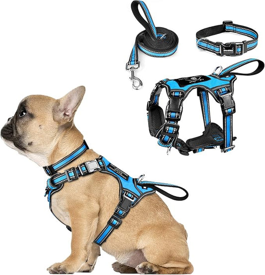WINSEE Pet Harness Collar and Leash Set, All-in-one Reflective Dog Harness No Pull with Adjustable Buckles for Puppies, Small, Medium, Large, and Extra-Large Dogs (Small, Blue) WINSEE