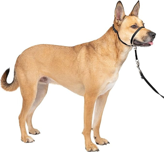 PetSafe Gentle Leader No-Pull Head Collar for Dogs, Dog Head Collar - The Ultimate Solution to Pulling, Padded Nose Loop, Quick-Snap Neck Strap, Dog Halter, Medium - Black PetSafe