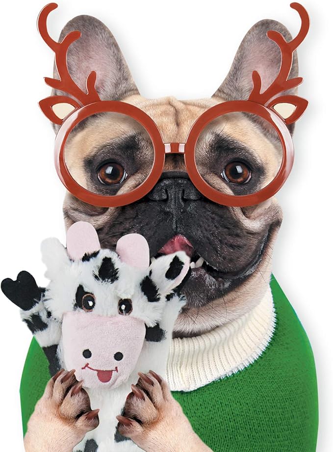 SHARLOVY Dog Squeaky Toys 5 Pack, Pet Toys Crinkle Dog Toy No Stuffing Animals Dog Plush Toy Dog Chew Toy for Large Dogs and Medium Dogs Squeeky Doggie Toys 5 Pack for Large Dogs Multi-Colored - PAWPICO