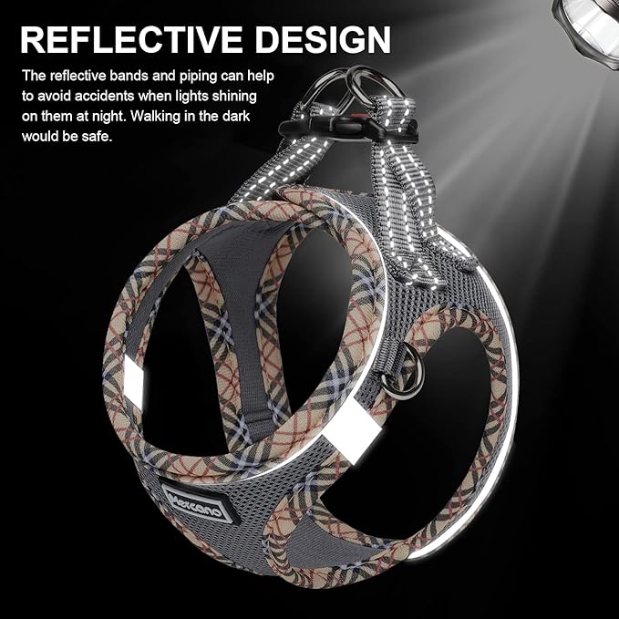 Mercano Soft Mesh Dog Harness and Leash Set, No-Chock Step-in Reflective Breathable Lightweight Easy Walk Escape Proof Vest Harnesses with Safety Buckle for Small Medium Dogs, Cats (Grey, S) PAWPICO