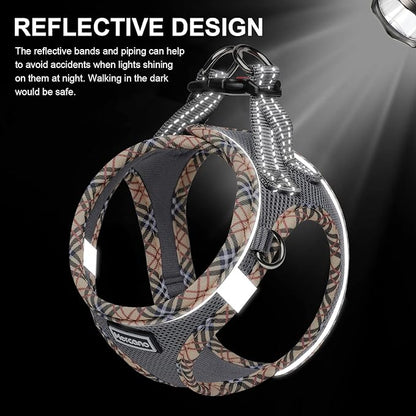 Mercano Soft Mesh Dog Harness and Leash Set, No-Chock Step-in Reflective Breathable Lightweight Easy Walk Escape Proof Vest Harnesses with Safety Buckle for Small Medium Dogs, Cats (Grey, XS) PAWPICO