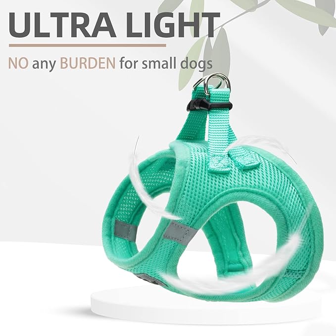 PUPTECK Adjustable Dog Harness Collar and Leash Set Step in No Pull Pet Harness for Small Medium Dogs Puppy and Cats Outdoor Walking Running, Soft Mesh Padded Reflective Vest Harnesses, Solid Green XS PUPTECK