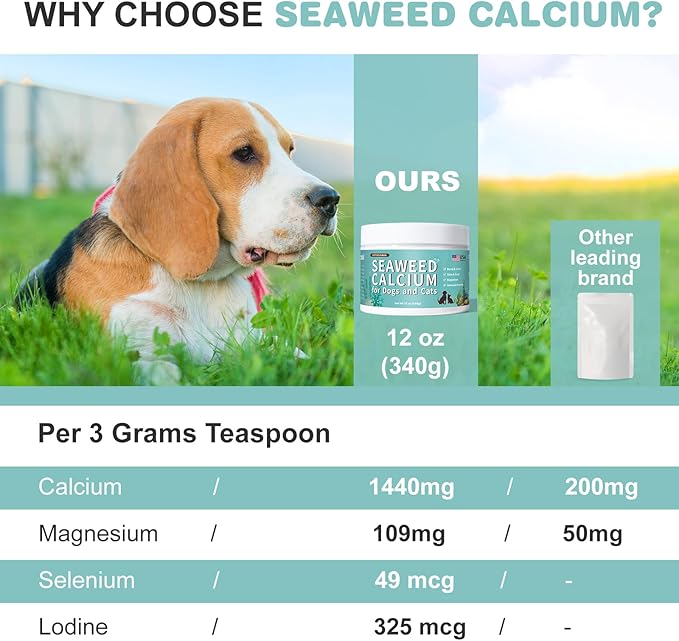 Seaweed Calcium for Dogs, Calcium for Dogs, Cats, Supports Joint, Teeth and Bone Health, High Digestibility Dog Calcium, Pure Clean Icelandic Calcium Powder for Dogs, Tested for Purity, 12 Oz DIYTOOLSMAN