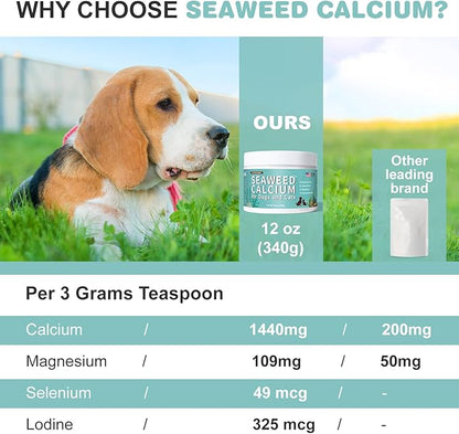 Seaweed Calcium for Dogs, Calcium for Dogs, Cats, Supports Joint, Teeth and Bone Health, High Digestibility Dog Calcium, Pure Clean Icelandic Calcium Powder for Dogs, Tested for Purity, 12 Oz DIYTOOLSMAN
