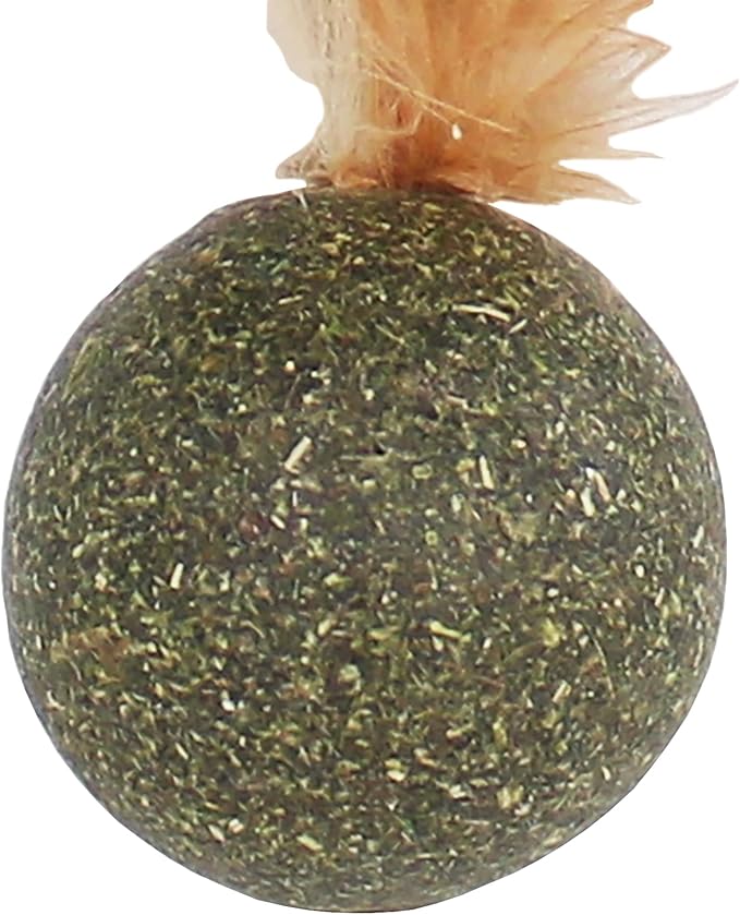 Penn-Plax Cat-Life Compressed Catnip Birdie with Peacock Feathers – Natural Cat Toy – 1 Count - PAWPICO