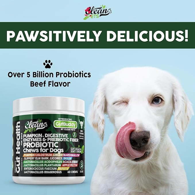 Probiotics for Dogs | Pumpkin Dog Probiotic Gut Health Diarrhea & Bowel Support | Colostrum, Digestive Enzymes, Ginger, Slippery Elm, Licorice, Inulin Fiber | Dog Supplement by Clean Pets - 1Pack CleanPets