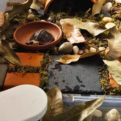 Reptile Basking Platform 2Pcs 6.0''x6.0'' Turtle Rock Plate Slate Feeding Platform Food Dish Bowl Bathing Rock Rest Terrace for Chameleon Lizard Bearded Dragon Gecko Snake Frog Newt (6.0''/15CM) Tfwadmx