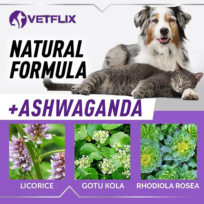 Pet Adrenal Support for Dogs & Cats - Made in USA - Cushings Treatment for Dogs - Cat & Dog Supplement for Kidney Support Vetflix