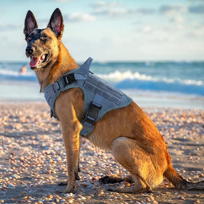 rabbitgoo Tactical Dog Harness for Small, Heavy Duty Pet Harness with Handle, No-Pull Service Vest Small Breed, Adjustable Military Dog Vest for Training Hunting Walking, Blue, S rabbitgoo