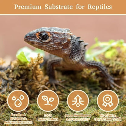 Riare 2.2LB Premium Sphagnum Moss for Reptiles- 50QT Natural Reptile Moss Dried, Forest Live Moss for Terrarium, Frogs Snake Peat Moss Bedding for Leopard Gecko Turtle Anoles Salamanders Orchid Plants Riare