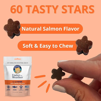 Under the Weather Pet Daily Cat L-Lysine | Boost Immune System Reduce Respiratory Symptoms | Maintain Normal Immune System Response | 60 Star Shaped Soft Chews UndertheWeather
