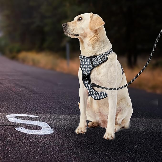 IVY&LANE No Pull Dog Harness with Leash Set, Reflective No Choke Pet Vest,Adjustable Oxford Dog Vest Harness with Easy Control Handle for Small Dogs (Vintage Blue,S) IVYLANE