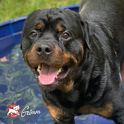 Fromm Four-Star Nutritionals Whitefish & Potato Dog Food - Premium Dry Dog Food - Whitefish Recipe - 4 lb - PAWPICO