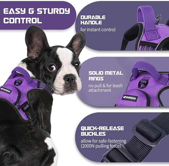 BUMBIN Dog Harness for Large Dogs, No Pull Adjustable No Choke Pet Vest with Dog Leash Fit Smart Reflective Pet Walking Harness for Training Easy Control Soft Handle Purple S BUMBIN