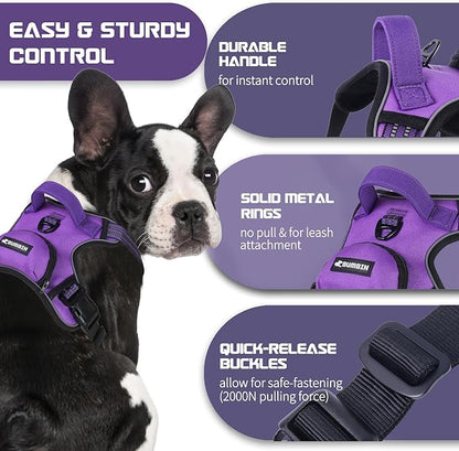 BUMBIN Dog Harness for Large Dogs, No Pull Adjustable No Choke Pet Vest with Dog Leash Fit Smart Reflective Pet Walking Harness for Training Easy Control Soft Handle Purple S BUMBIN