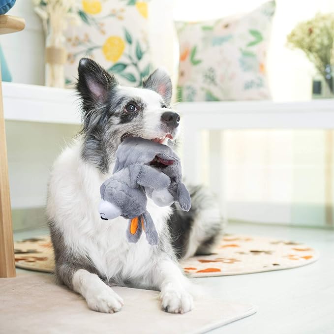 Nocciola 5 PCS Less Stuffing Dog Squeaky Toys for Aggressive Chewers, Durable Plush Dog Toy Set with Stuffed Head for Small to Large Dogs - PAWPICO