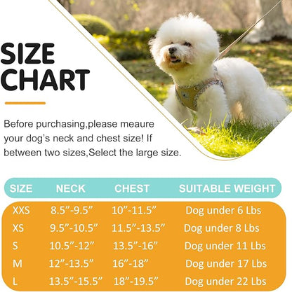 Dog Harness and Leash Set, No Pull Pet Harness for Small Dogs Easy Walking,Soft Breathable Small Dog Harness,Adjustable Reflective Step in Vest Harness for Puppy,Kitten, Cats TomteNisse