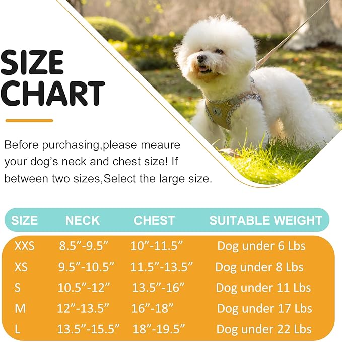 Dog Harness and Leash Set, No Pull Pet Harness for Small Dogs Easy Walking,Soft Breathable Small Dog Harness,Adjustable Reflective Step in Vest Harness for Puppy,Kitten, Cats TomteNisse