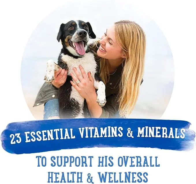 Beneful Purina Gravy Wet Dog Food, Prepared Meals Roasted Turkey Medley - (8) 10 oz. Tubs (Pack of 2) - PAWPICO