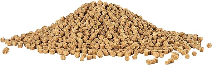 Aqueon Shrimp Pellets Sinking Food for Tropical Fish, Goldfish, Loaches, Catfish and Other Bottom Feeding Fish, 6.5 Ounces (Pack of 2) Aqueon