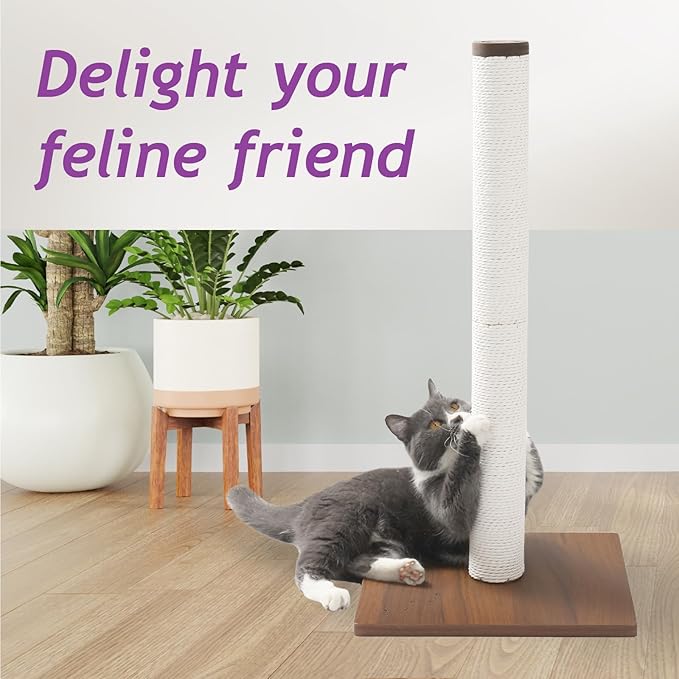 Necoichi 31.5” Tall Cat Scratching Post Kitten Scratcher Paper Rope Scratch Posts Trees with Hanging for Indoor Cats (31.5 inches for Adult Cats, Large, Dark Cherry) - PAWPICO