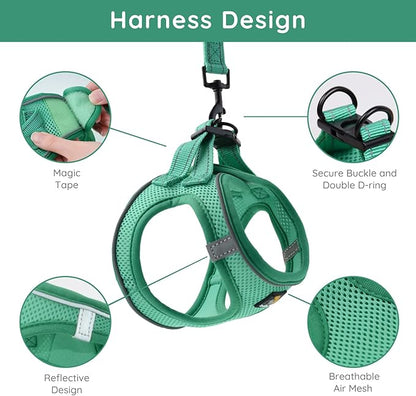 BELLA & PAL Puppy Harness with Leash Set, Dog Harness for Small Dogs No Pull, Dog Leash for Small Dogs, Step in Harness for Extra Small Dogs, Green Harness, XS BELLAPAL