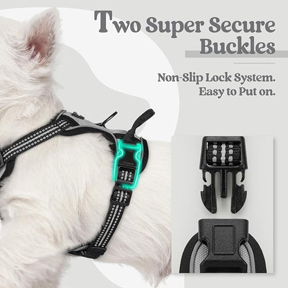 rabbitgoo Dog Harness No Pull with 2 Leash Clips, Adjustable Soft Padded, Reflective Oxford No Choke Pet Vest with Easy Control Handle for Puppy, Grey, XS rabbitgoo