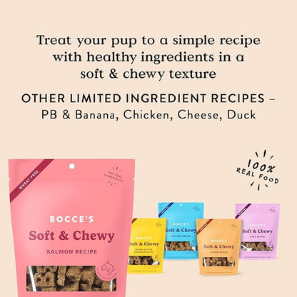 Bocce's Bakery Oven Baked Salmon Recipe Treats for Dogs, Wheat-Free Everyday Dog Treats, Made with Real Ingredients, Baked in The USA, All-Natural Soft & Chewy Cookies, Salmon, 6 oz - PAWPICO
