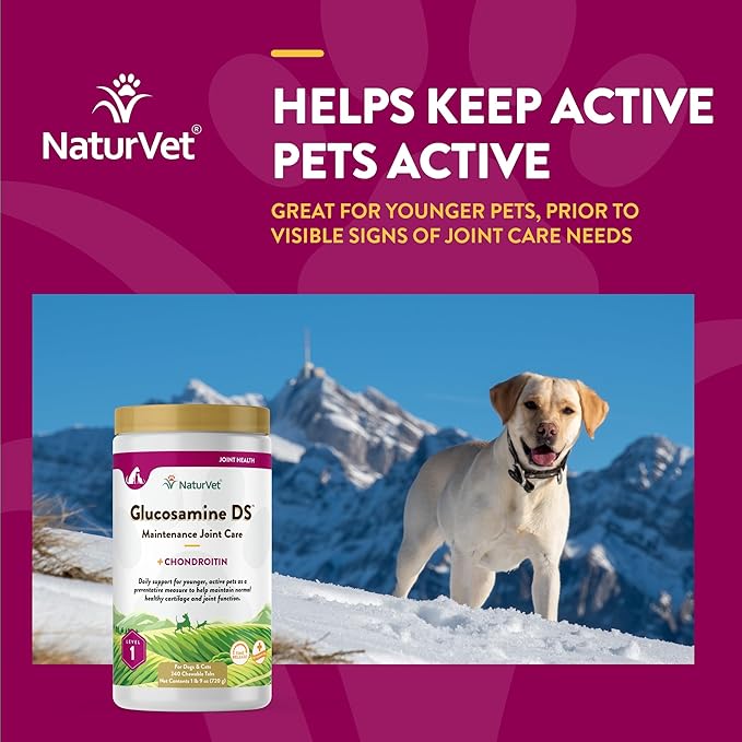 NaturVet – Glucosamine DS - Level 1 Maintenance Care | Preventative Care to Maintain Healthy Cartilage & Joint Function | Enhanced with Glucosamine & Chondroitin | for Dogs & Cats (240 Tablets) NaturVet