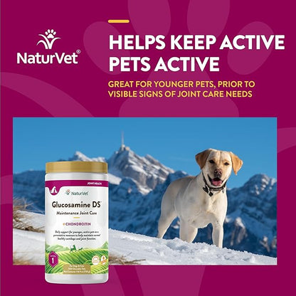 NaturVet – Glucosamine DS - Level 1 Maintenance Care | Preventative Care to Maintain Healthy Cartilage & Joint Function | Enhanced with Glucosamine & Chondroitin | for Dogs & Cats (240 Tablets) NaturVet