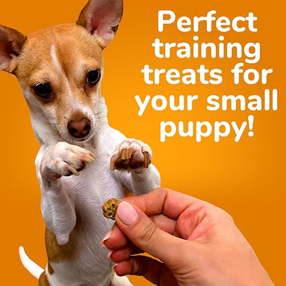 Fruitables Skinny Mini Dog Treats – Healthy Treats for Dogs – Low Calorie Training Treats – Free of Wheat, Corn and Soy – Rotisserie Chicken – 5 Ounces - PAWPICO