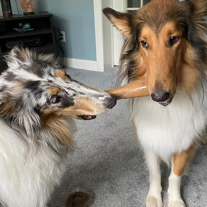 Barkbox Super Chewer Tough Dog Chew Toys for Aggressive Chewers, Dental Stimulating (Bacon Bone - Small) - PAWPICO