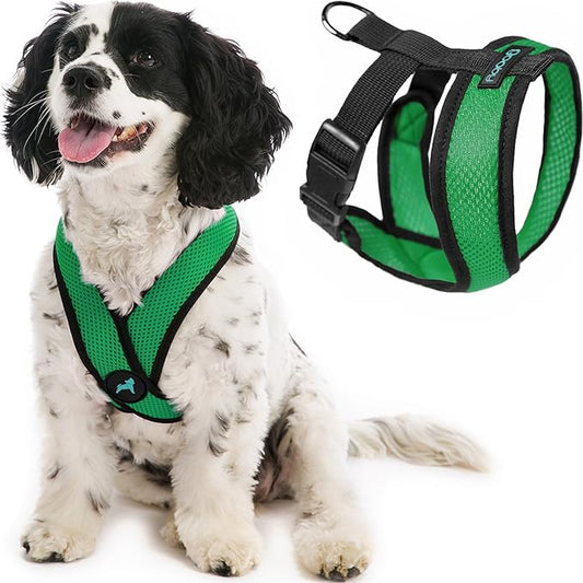 Gooby Comfort X Head in Harness - Hunter Green, Small - No Pull Small Dog Harness Patented Choke-Free X Frame - On The Go Dog Harness for Medium Dogs No Pull or Small Dogs for Indoor and Outdoor Use Gooby