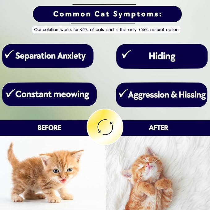 Kitten Calming Collar with 100% Natural Oil, Cat Stress and Anxiety Relief, Kitten Calming Products, Breakaway, Vet-Approved (Pure Jasmine) ROLLERPAWSTER