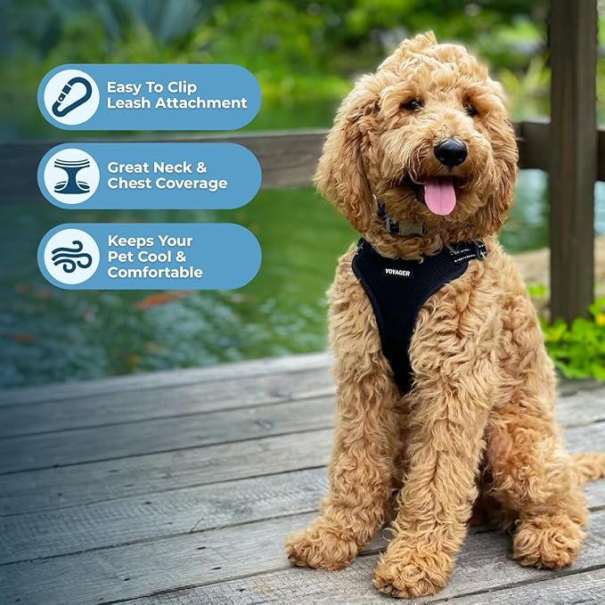 Best Pet Supplies Voyager Adjustable Dog Vest Harness Breathable No Pull Harness for Small, Medium, Large Dogs, Heavy Duty Harness for Walking, Jogging, Easy Step-in, Reflective Stripes - (Black), S BestPetSuppliesLLC