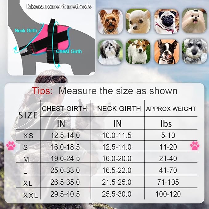 Bolux Dog Harness, No-Pull Reflective Dog Vest, Breathable Adjustable Pet Harness with Handle for Outdoor Walking - No More Pulling, Tugging or Choking Small (Pack of 1) RoseTurquoise Bolux