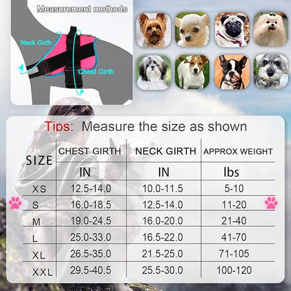 Bolux Dog Harness, No-Pull Reflective Dog Vest, Breathable Adjustable Pet Harness with Handle for Outdoor Walking - No More Pulling, Tugging or Choking Small (Pack of 1) RoseTurquoise Bolux