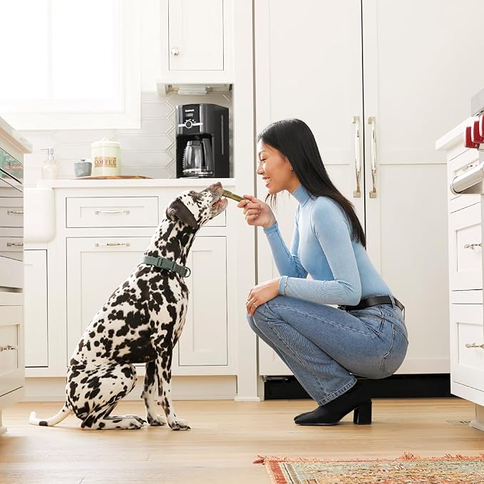 Greenies Original Teenie Natural Dental Care Dog Treats, 27 oz. Pack (96 Treats) - PAWPICO