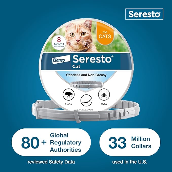 Seresto Cat Vet-Recommended Flea & Tick Treatment & Prevention Collar for Cats | 8 Months Protection Seresto