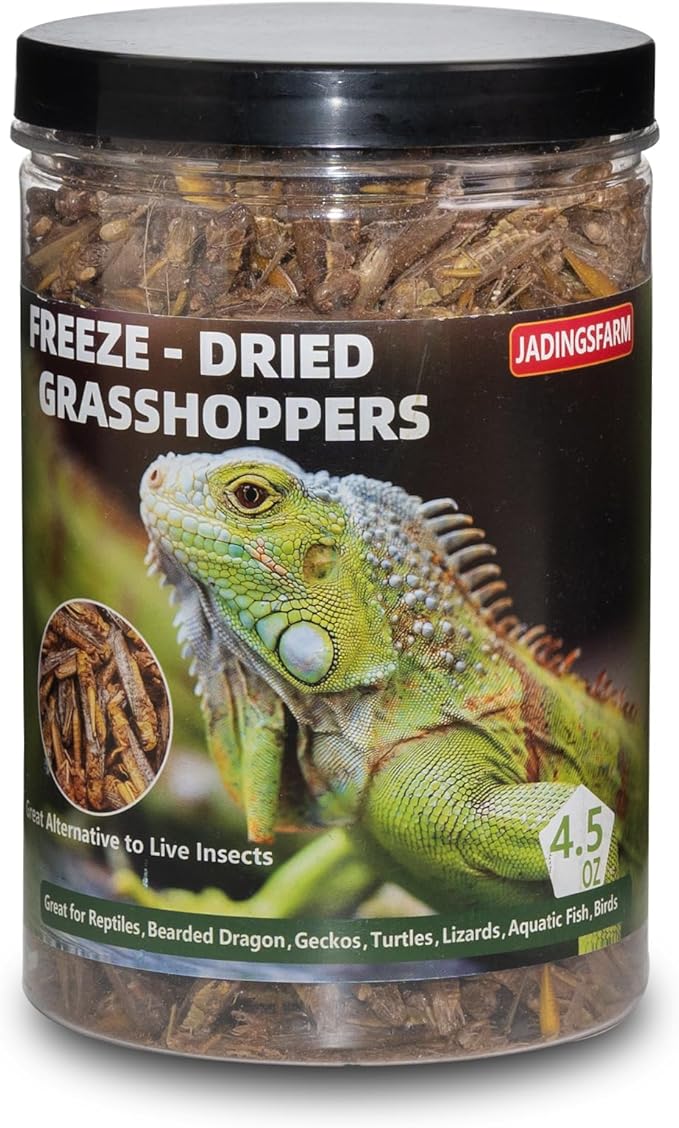 Freeze Dried Grasshoppers – 4.5 Oz High Protein Freeze Dried Grasshoppers Food for Reptiles, Bearded Dragons Lizards, Geckos, Birds, Hedgehogs Jadingfarm
