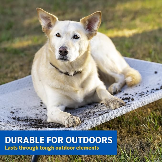 COOLAROO The Original Cooling Elevated Dog Bed, Indoor and Outdoor, Small, Grey - PAWPICO