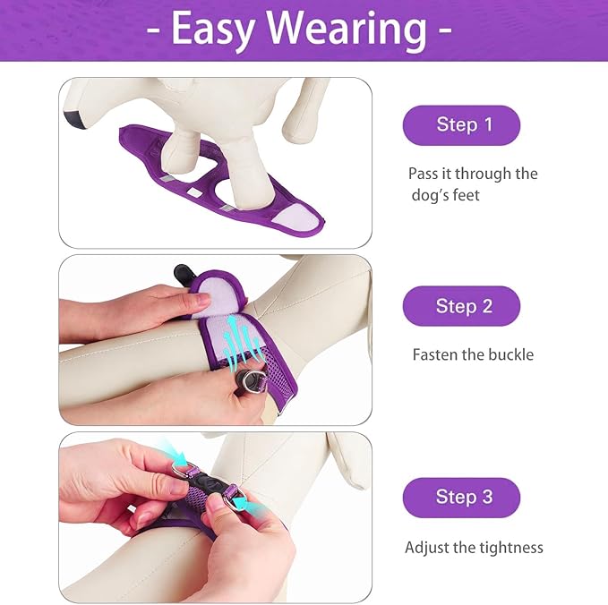 Dog Harness for Small Dogs, Small Dog Harness and Leash Set, Honeycomb Grid, Reflective Lightweight Harness & Anti-Twist Pet Lead,Dog Harness(Multi Color, Size: XS-S-M) (S, Purple) PAWPICO