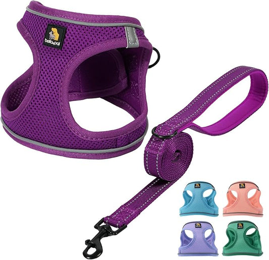 BELLA & PAL Puppy Harness with Leash Set, Dog Harness for Small Dogs No Pull, Dog Leash for Small Dogs, Step in Harness for Extra Small Dogs, Deep Purple Harness, XS BELLAPAL