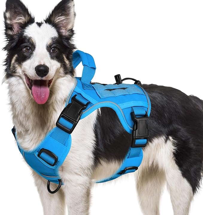 WINGOIN Blue Tactical Dog Harness for Large Medium Dogs No Pull Adjustable Pet Harness with Handle Reflective K9 Military Service Dog Vest for Walking Hiking Training (M) WINGOIN