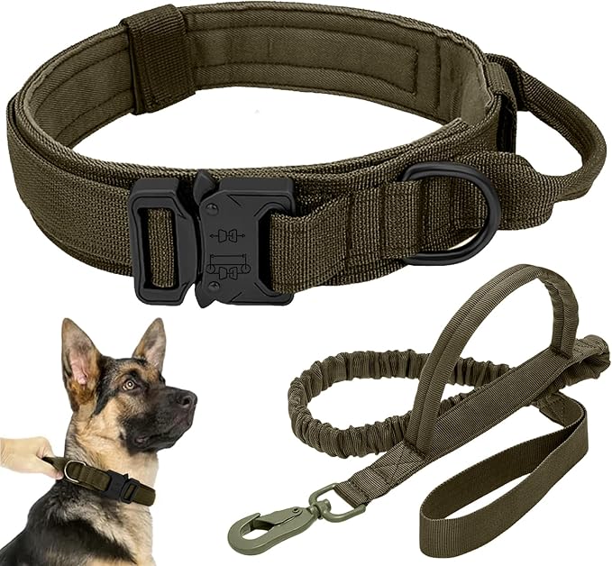 Tactical Dog Collar Leash Set, Adjustable Military Training Nylon Collar Dog Training with Control Handleand Metal Buckle, Dog Collar for Medium Large Dogs (Green,XL) ANTSWISH
