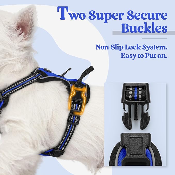 rabbitgoo Dog Harness No Pull with 2 Leash Clips, Adjustable Soft Padded, Reflective Oxford No Choke Pet Vest with Easy Control Handle for Puppy, Dazzling Blue,XS rabbitgoo