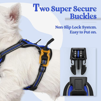 rabbitgoo Dog Harness No Pull with 2 Leash Clips, Adjustable Soft Padded, Reflective Oxford No Choke Pet Vest with Easy Control Handle for Puppy, Dazzling Blue,XS rabbitgoo