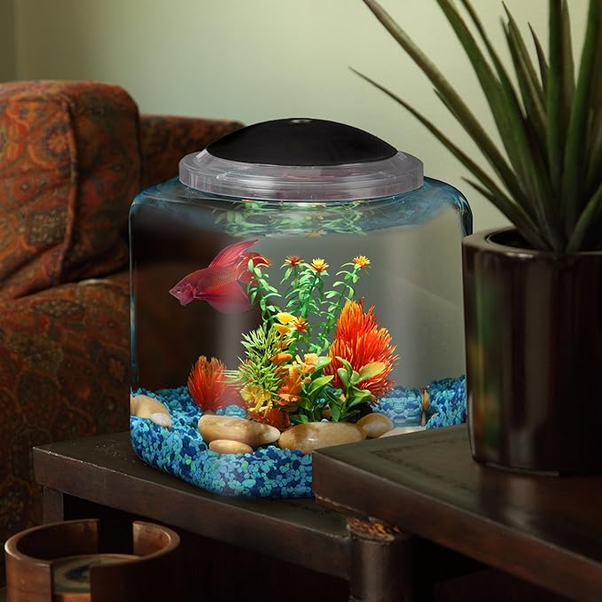 Koller Products 2-Gallon Hex Aquarium Starter Tank - LED Lighting (7 Color Selections), Impact-Resistant Plastic Fish Bowl with Stand for Betta/Nano/Goldfish, Wedding Event & Home Decor DISCOVERTHEEXCITINGWORLDOFKEEPINGTROPICALFISH