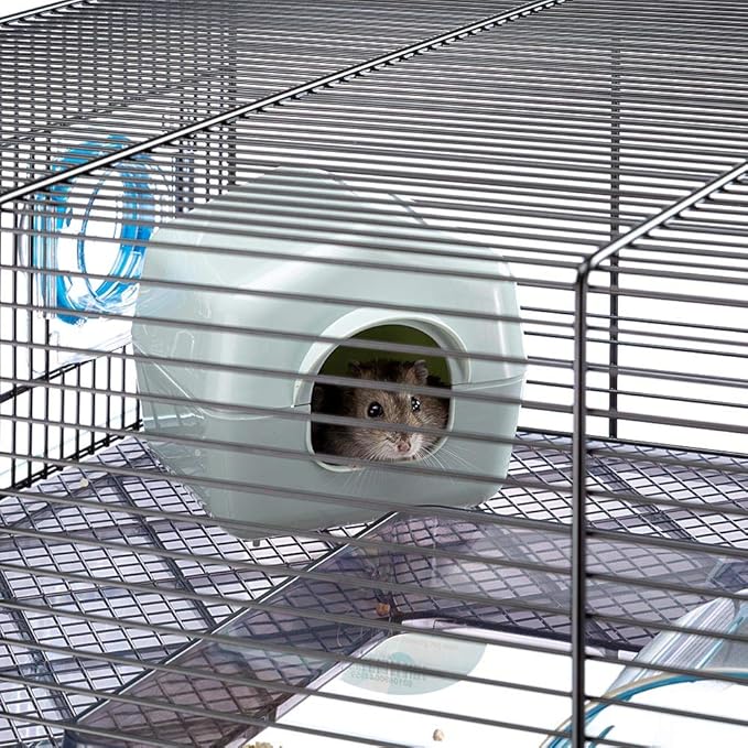 Ferplast Favola Hamster Cage Includes Free Water Bottle, Exercise Wheel, Food Dish & Hamster Hide-Out Large Hamster Cage Measures 23.6L x 14.4W x 11.8H-Inches Ferplast
